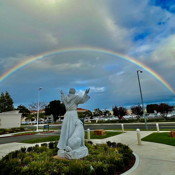 Hello + Welcome to my Little Homestead 👋 - Picture 16 of 16